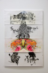 The evolution of David Attenborough 