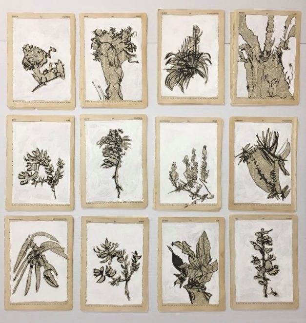 Allthebeesare[not]dying#1 2